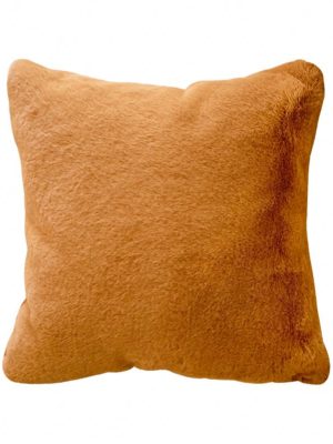 import placeholder for 10495450